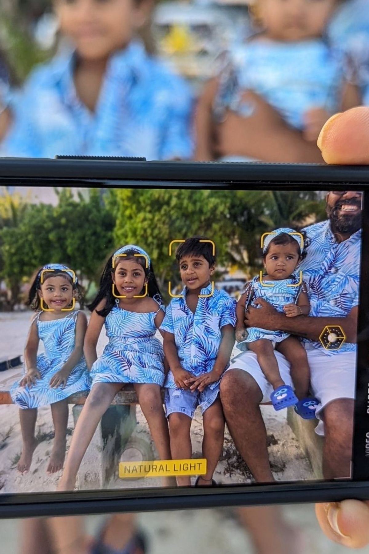 PALM HAVEN FAMILY SET